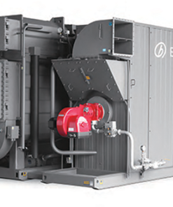 BZ Model, Direct Gas Fired