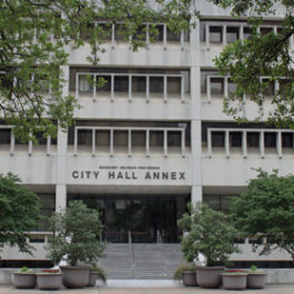 City of Houston City Hall Annex Details