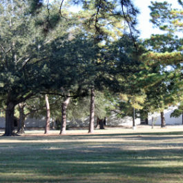 Cy Fair ISD Holbrook Details