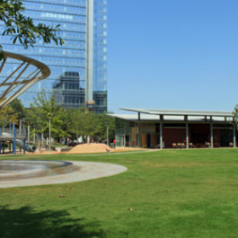 Discovery Green Details
