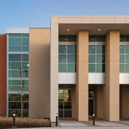 HTS Briscoe Livestock project