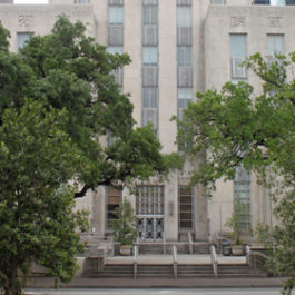 Houston City Hall Details