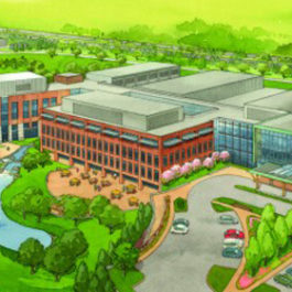 Maine General Detail