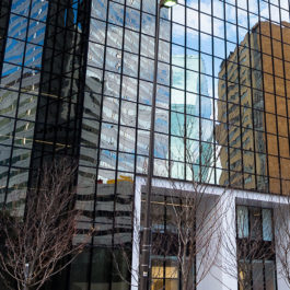 ThanksgivingTower Banner2