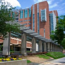 University of maryland Dental detail