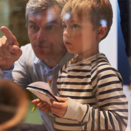 leisure full 1400x813 06