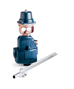 Armstrong Humidity Control Conditioned Steamer OK series