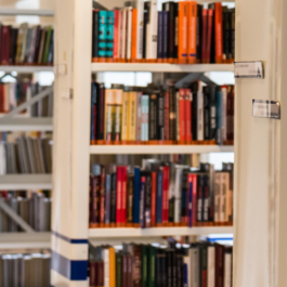 Library shelves with a hundreds of books