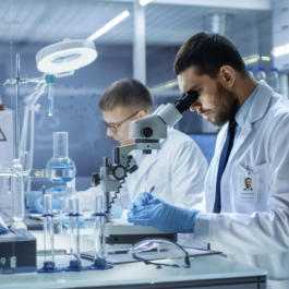 Two scientists in laboratory