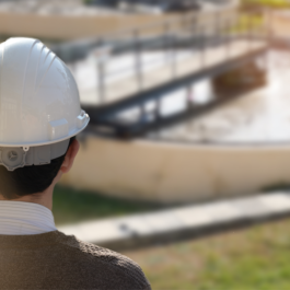 Engineer looking down on Water