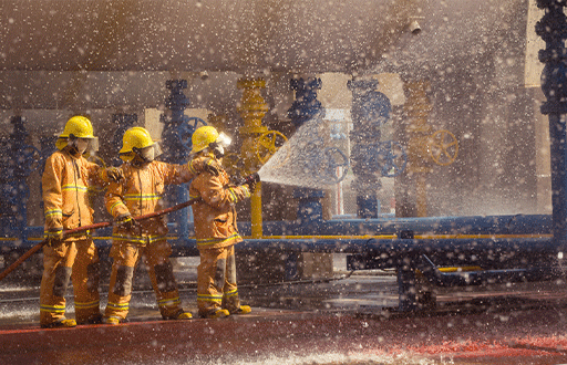 Group of Fire Fighters training